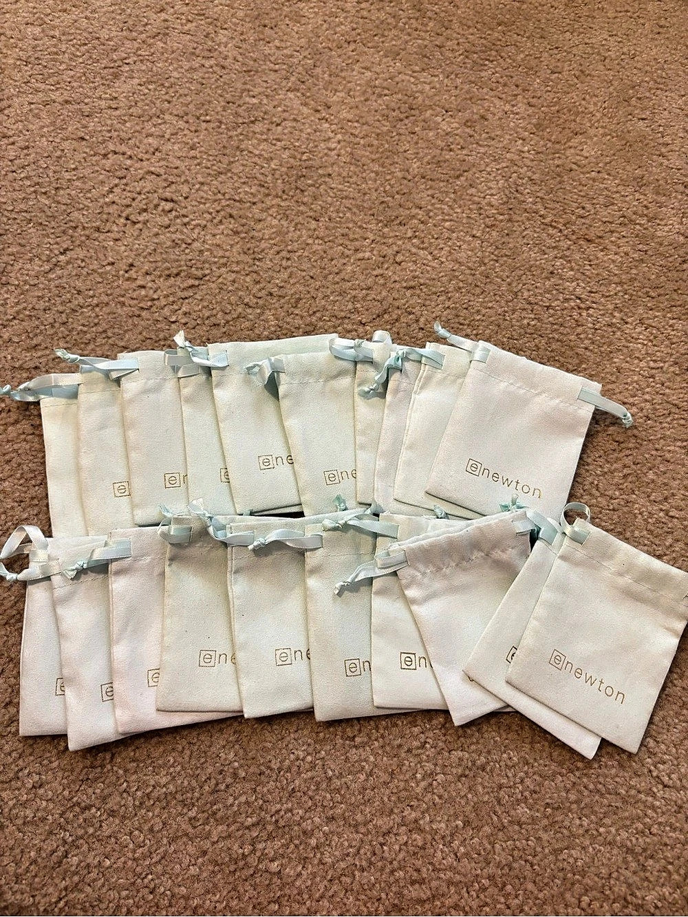 20 enewton pouch